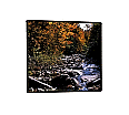 Projektionswand 180x180 cm (Format 1:1-OH Projektion) starr,