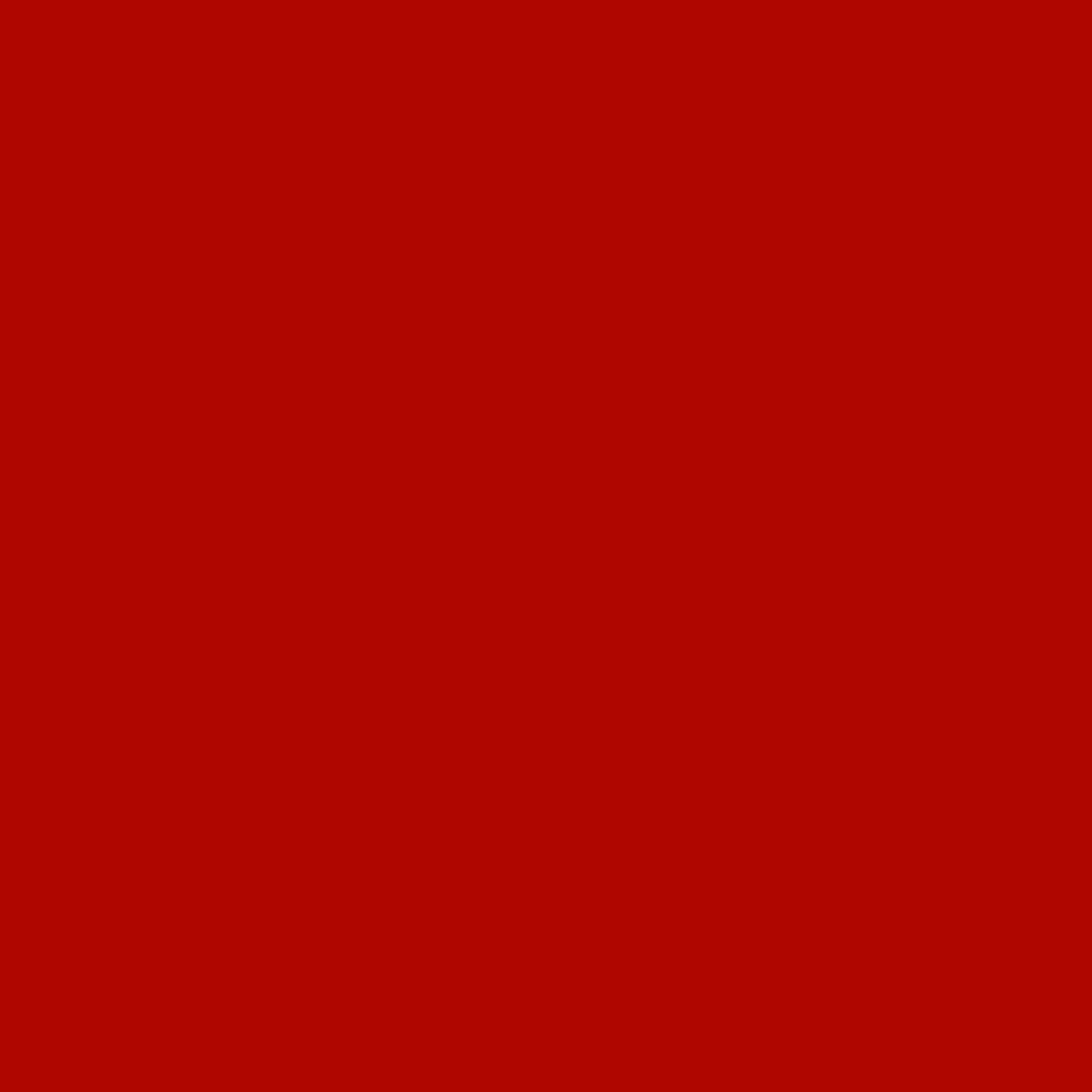 Feuerrot        RAL 3000