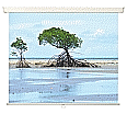 Rollo-Zug-Leinwand 180x180 cm (100") Format 1:1 Gehäusemaße (B x H x T): 197x7x7 cm, zur Wand-  aus der Kategorie Projektion