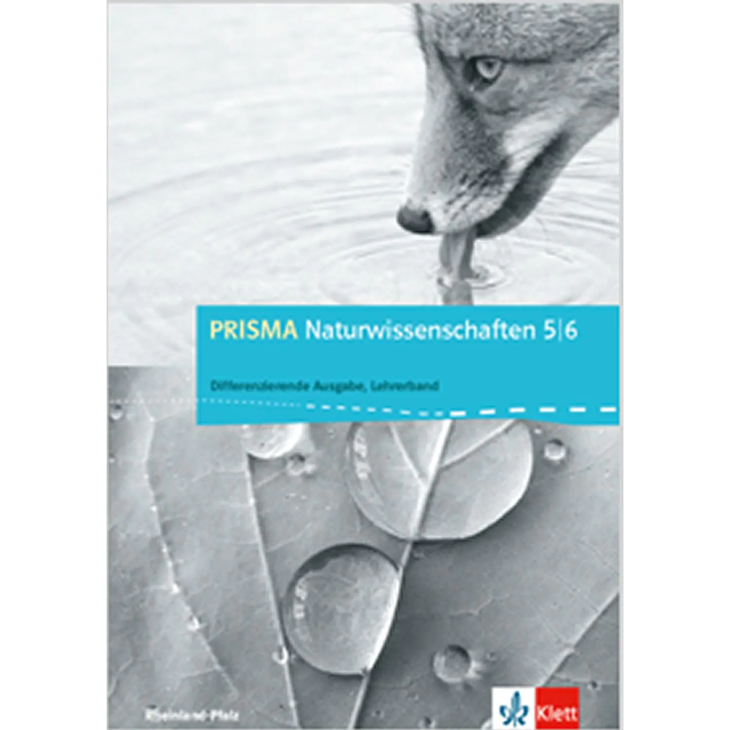 Prisma Naturwissenschaften 5./6. Lehrerband aus der Kategorie Naturwissenschaften