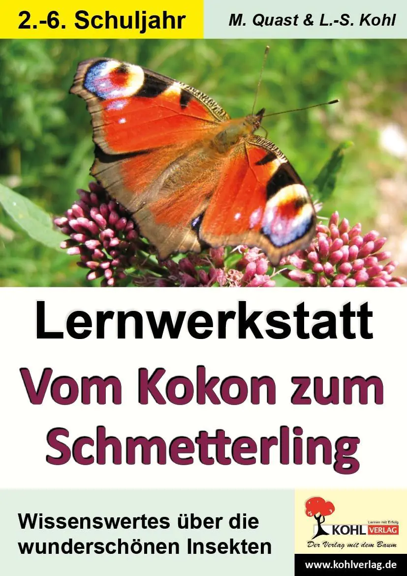 Lernwerkstatt - Vom Kokon zum Schmetterling aus der Kategorie Sachkunde