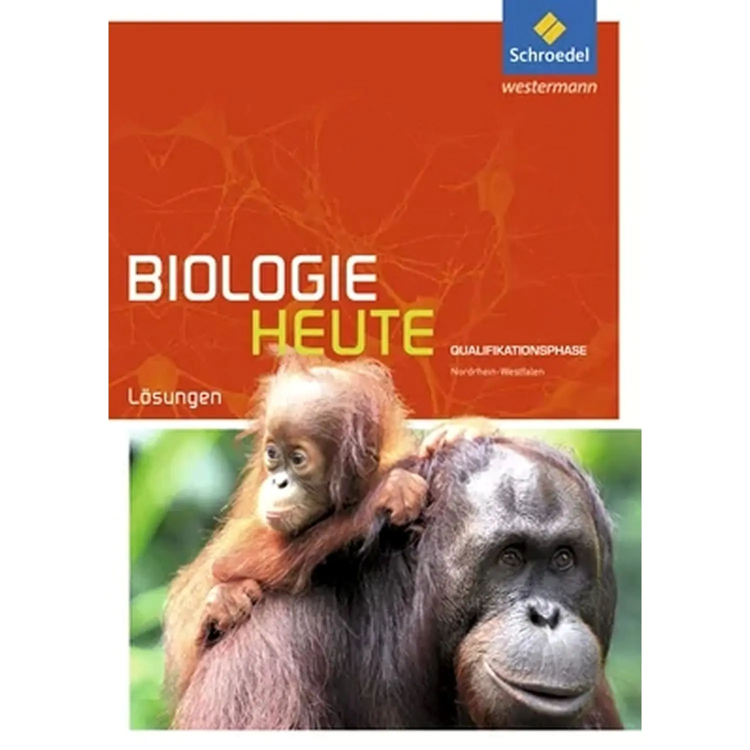 Biologie heute Sekundarstufe II.NRW Q-Phase Lösungen aus der Kategorie Biologie