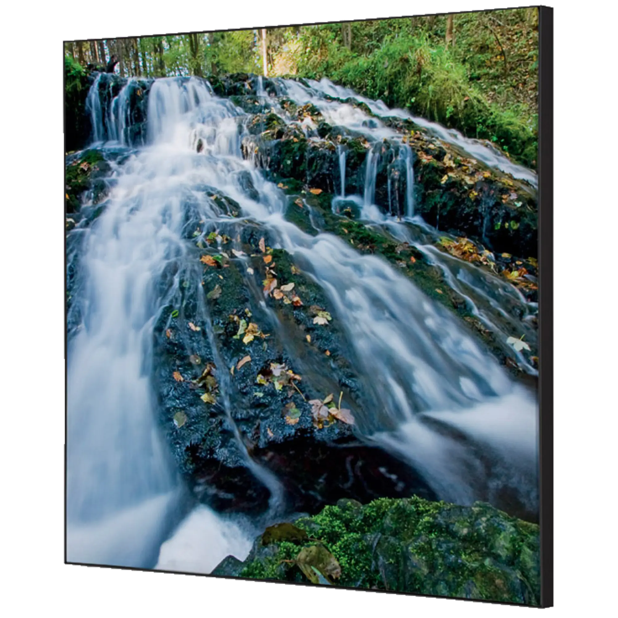 Showdown Wanddekoration Set 40x40cm Wasserfallwald aus der Kategorie Dekoration