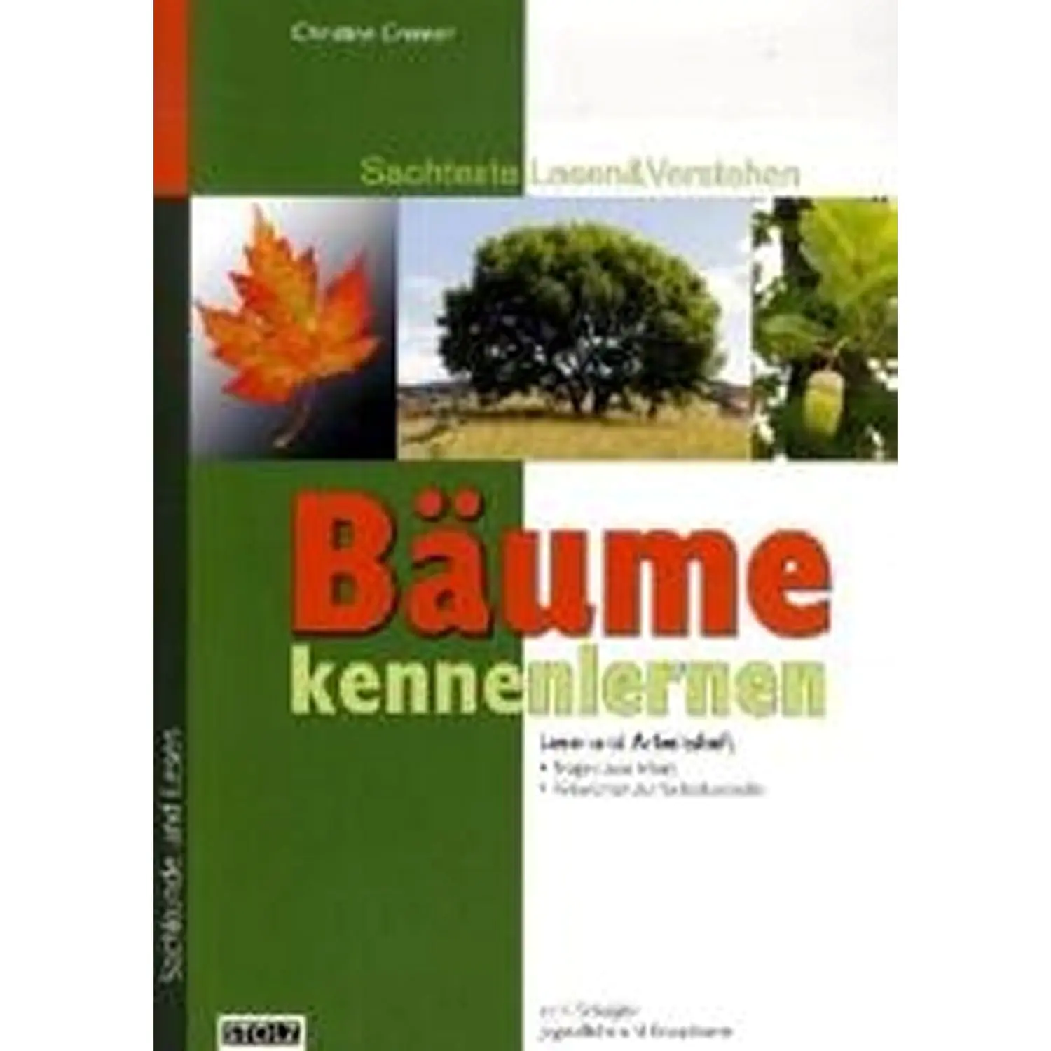 Bäume kennenlernen aus der Kategorie Deutsch