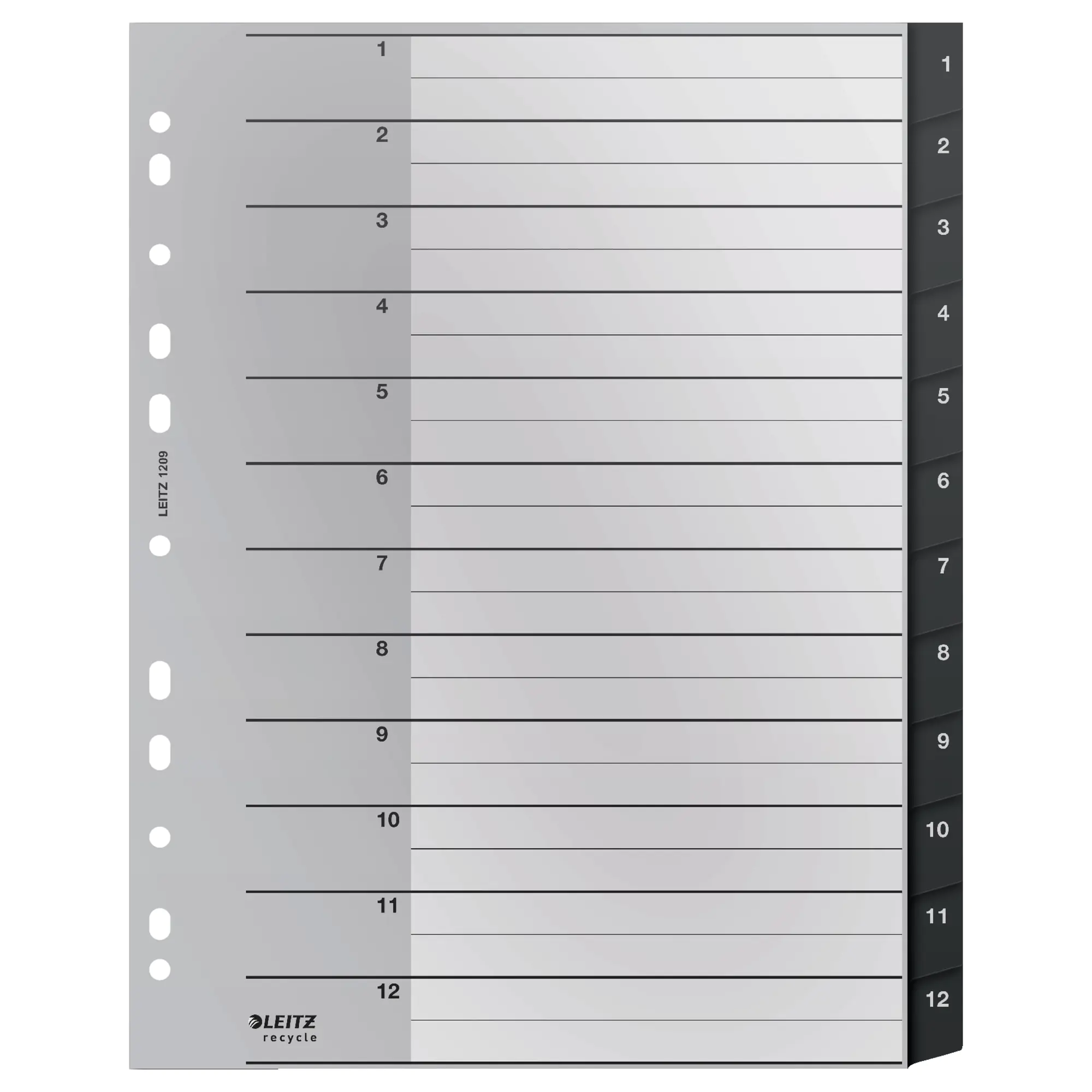 Leitz Register Recycle A4 1-12 sw aus der Kategorie Register