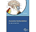 Anatomie Zeichenblätter Arbeitsheft aus der Kategorie Schulbücher