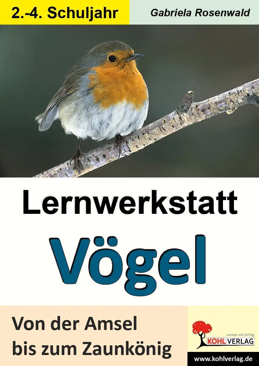 Lernwerkstatt - Vögel Von der Amsel bis zum Zaunkönig aus der Kategorie Kinderbücher