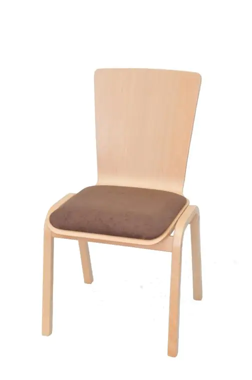 Schalenstuhl mit Sitzpolster aus Buche Massivholz, stapelbar, Gestell Buche-Schichtholz natur aus der Kategorie Mehrzweckstühle