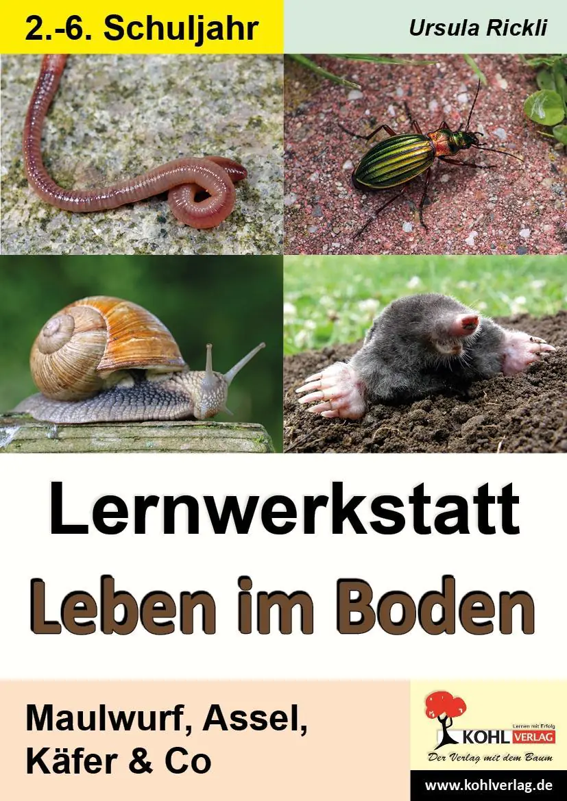 Lernwerkstatt Leben im Boden aus der Kategorie Schulbücher