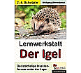 Lernwerkstatt - Igel aus der Kategorie Kinderbücher