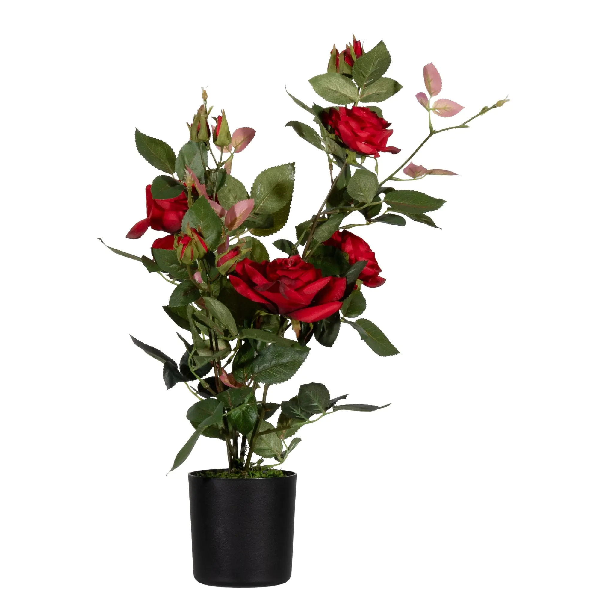 Paperflow Kunstpflanze Rosenstock rt 54cm aus der Kategorie Dekoration