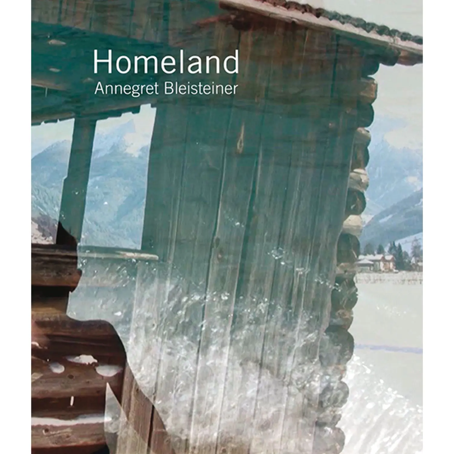 Homeland aus der Kategorie Taschenbücher