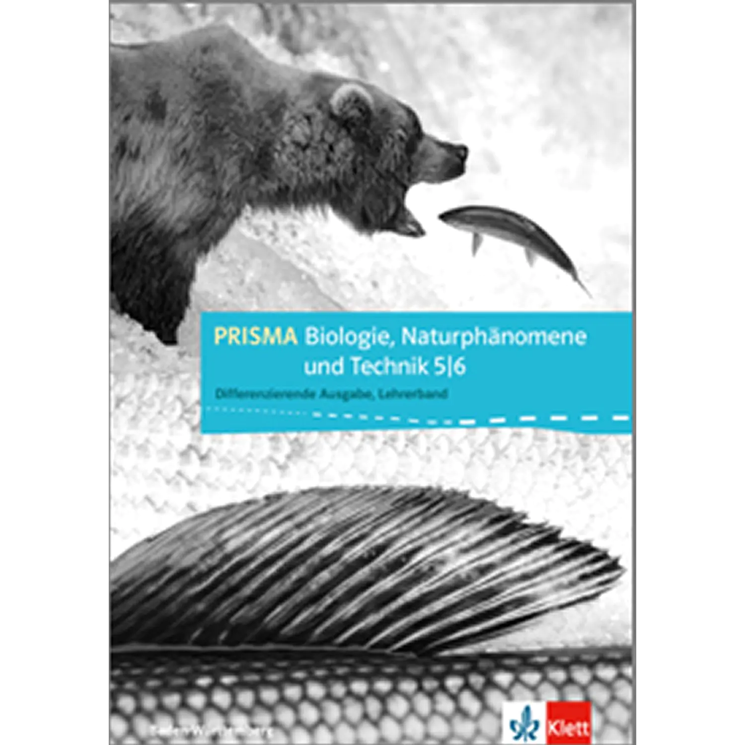 Prisma BNT 5./6. Lehrerband aus der Kategorie Naturwissenschaften