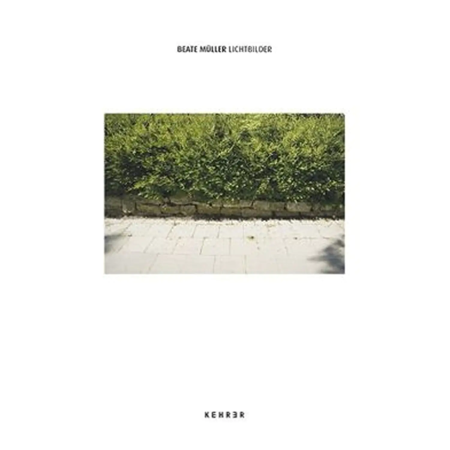 Lichtbilder aus der Kategorie Taschenbücher