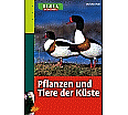 Pflanzen und Tiere der Küste aus der Kategorie Sachkunde