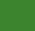 Grasgrün           RAL 6010