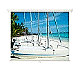 Rollo-Zug-Leinwand 240x240 cm (134") Format 1:1, Gehäusemaße (B x H x T): 255 x 9 x 9 cm, zur Wand- 