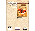 Mathematik plus 5. Grundschule 5. Berlin und Brandenburg. Arbeitsheft aus der Kategorie Mathematik