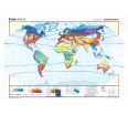 Wandkarte Die Erde, Klimazonen, 200x145cm aus der Kategorie Wandkarten Klimakunde