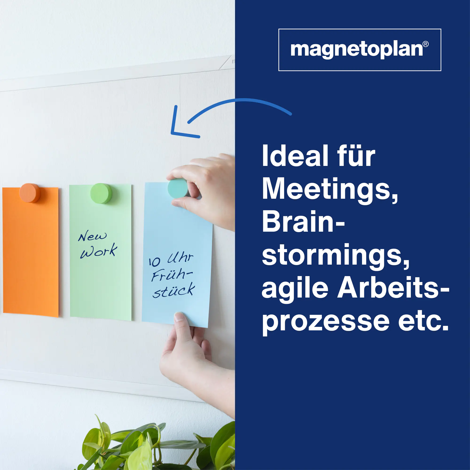 magnetoplan ModKarte Rechteck 200x100 sort 500St aus der Kategorie Moderationswände