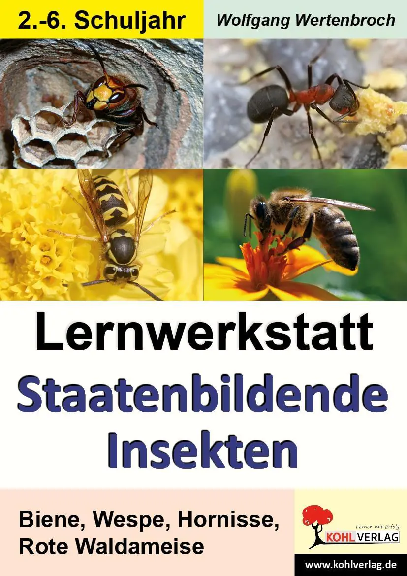 Lernwerkstatt - Staatenbildende Insekten aus der Kategorie Sachkunde