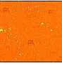 Mandarine