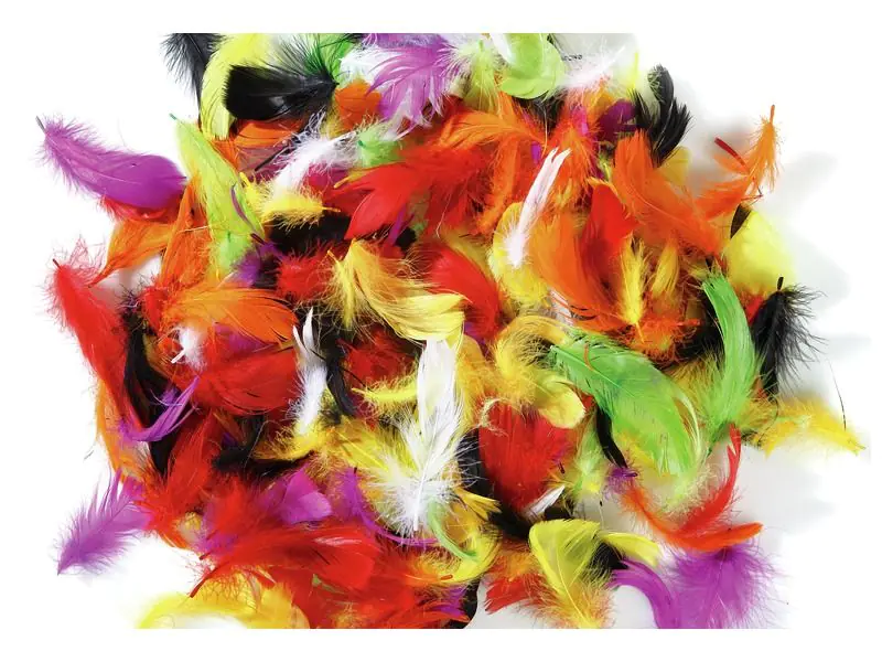 Zubehör Daunenfedern