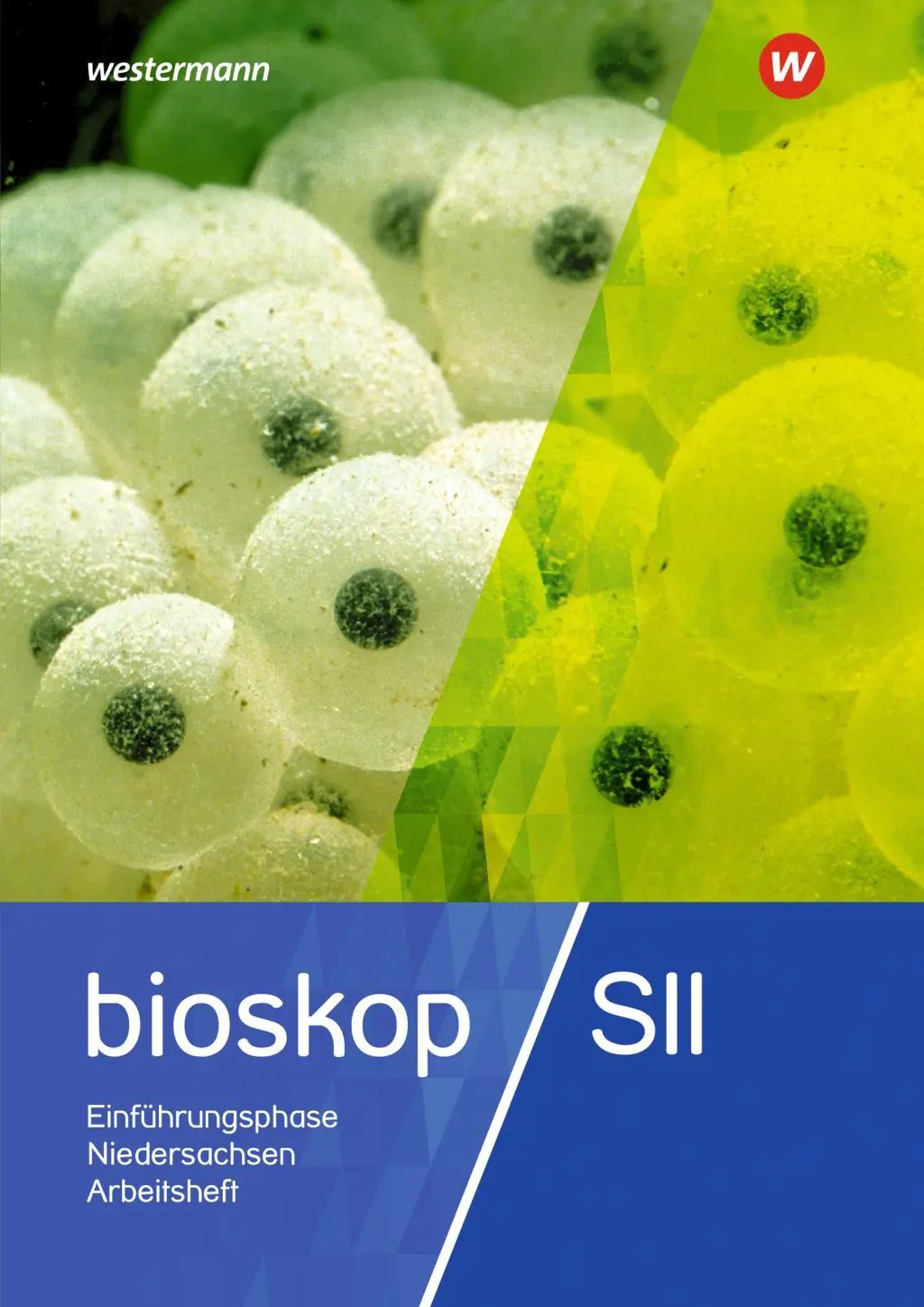 BIOskop S II. Arbeitsheft 11 aus der Kategorie Biologie