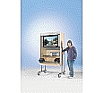 Flat-Screen-Schrank fahrbar, bis 40 Zoll Diagonale, Höhe 189 cm, 108x60 cm (B/T) aus der Kategorie TV-Möbel