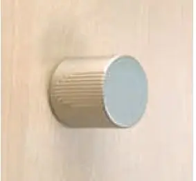 Griffknopf, matt vernickelt