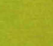 Sitzkissenfarbe Grün