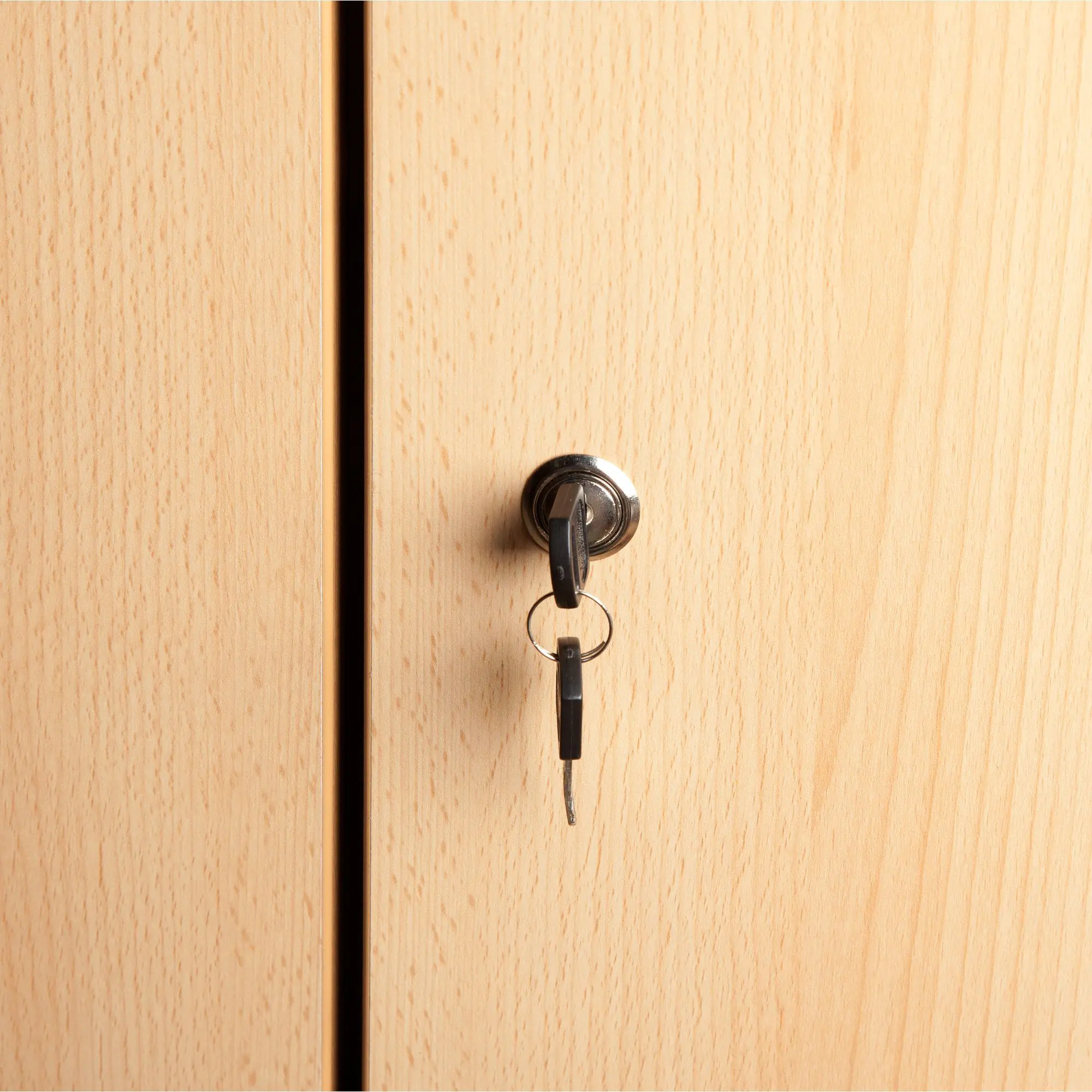 Hauptschlüssel für Schließanlagen (1 Stück) aus der Kategorie Schränke Zubehör