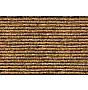 Gobi