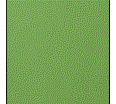 Kunstleder Grün