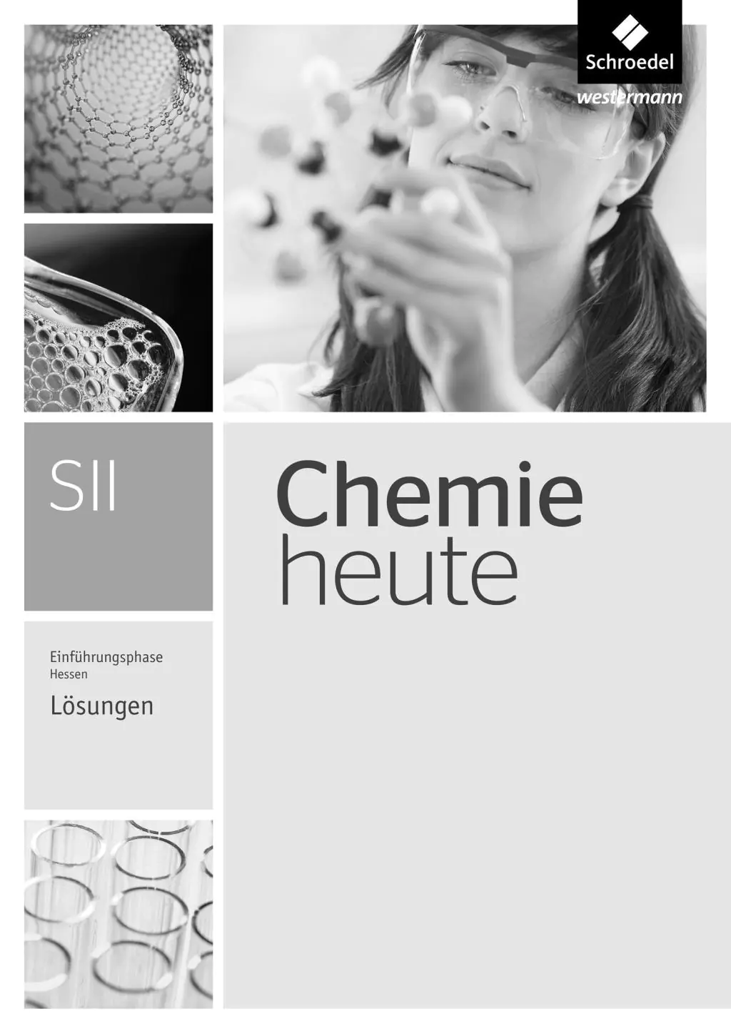 Chemie heute SII HE Lösungen E-Ph. aus der Kategorie Chemie