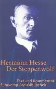 Der Steppenwolf aus der Kategorie Taschenbücher