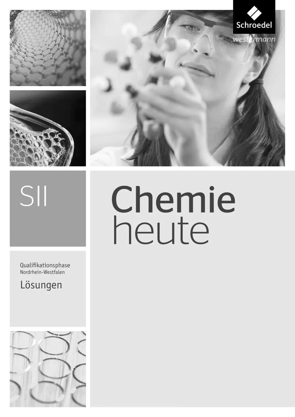 Chemie heute NRW Q-St. Lösungen aus der Kategorie Chemie