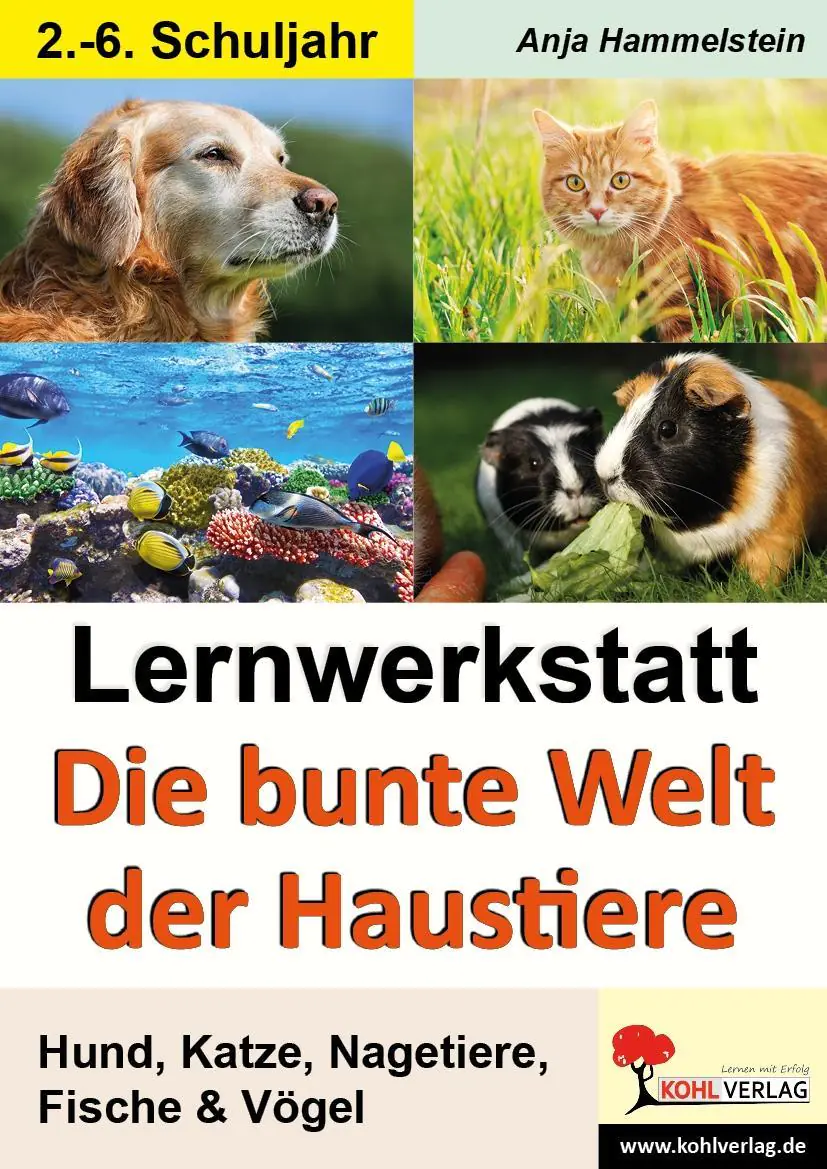 Lernwerkstatt - Die bunte Welt der Haustiere aus der Kategorie Kinderbücher