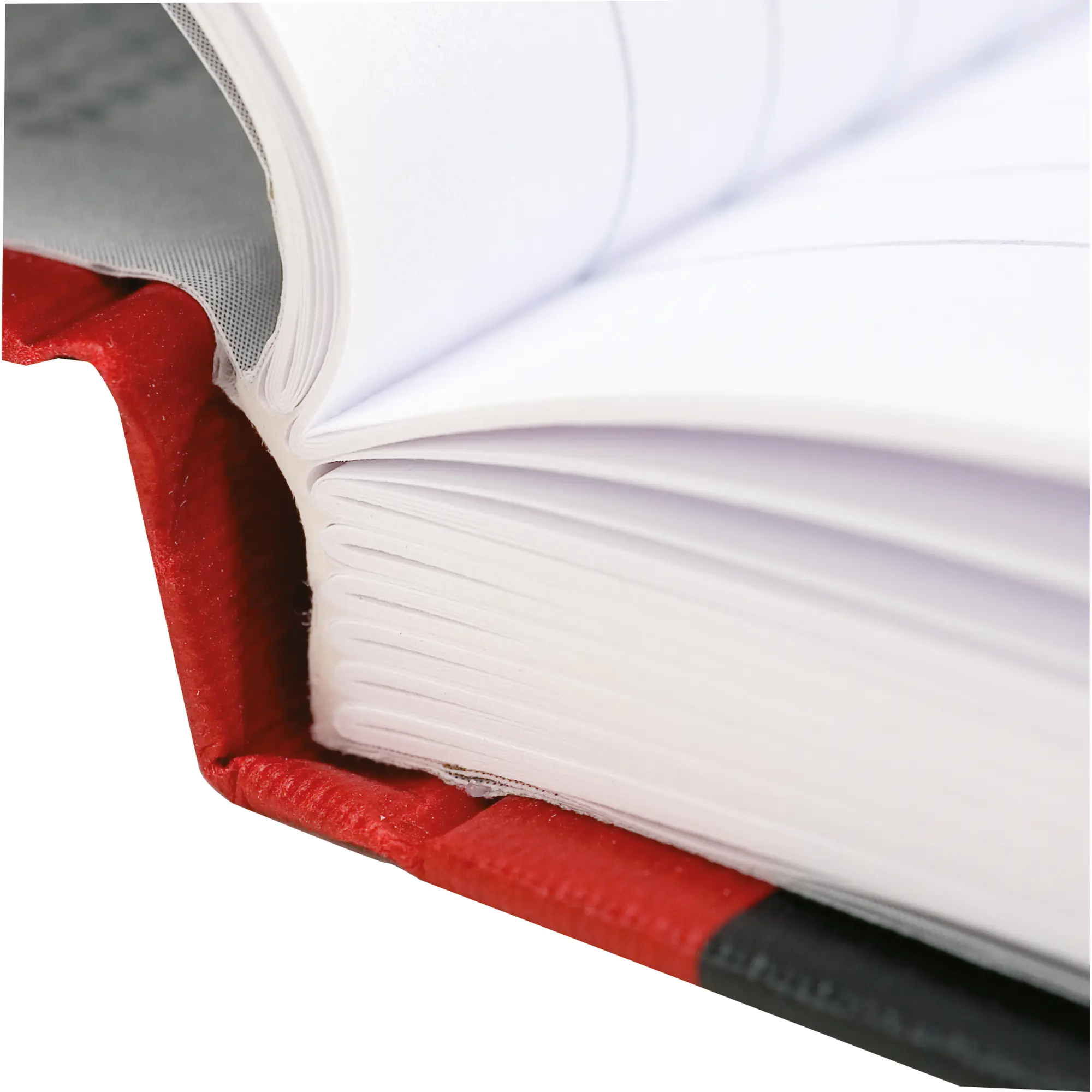 Oxford Geschäftsbuch A4 90g 96Bl kar. aus der Kategorie Bücher