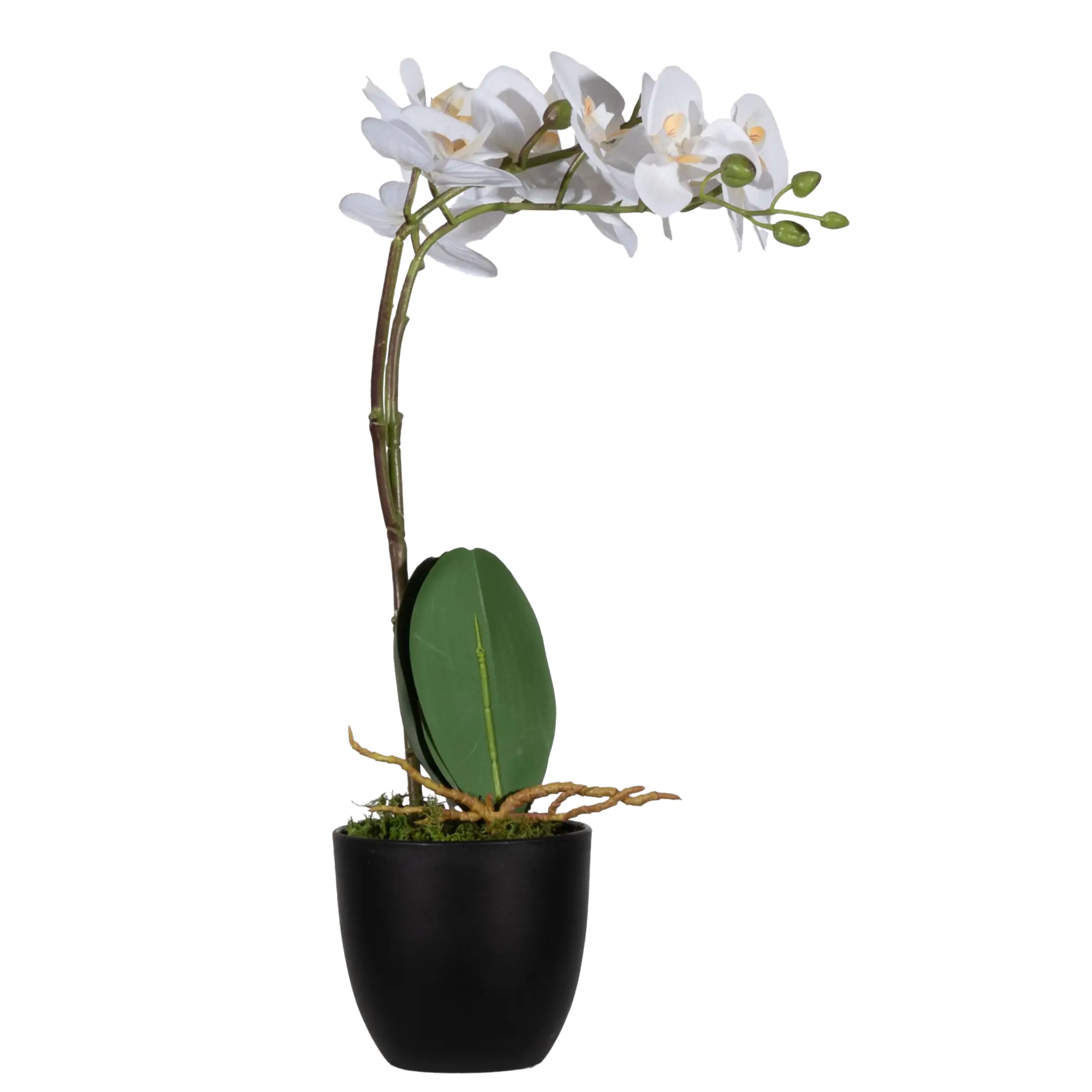 Paperflow Kunstpflanze Orchidee ws 40cm aus der Kategorie Dekoration