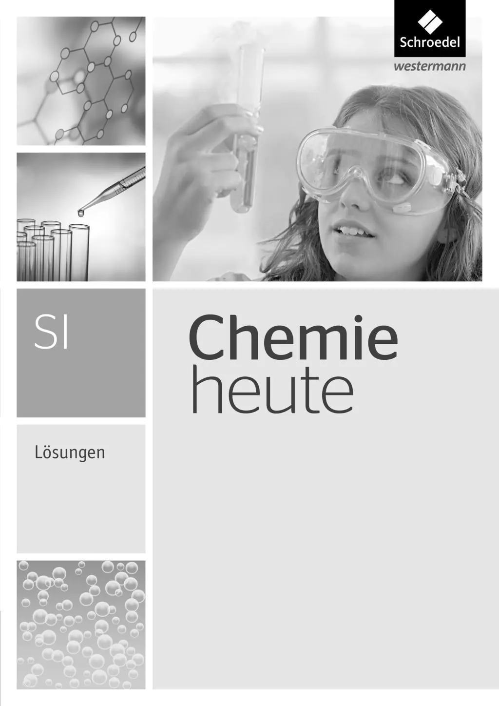 Chemie heute 5.-10. Sekundarstufe I. Lösungen aus der Kategorie Chemie