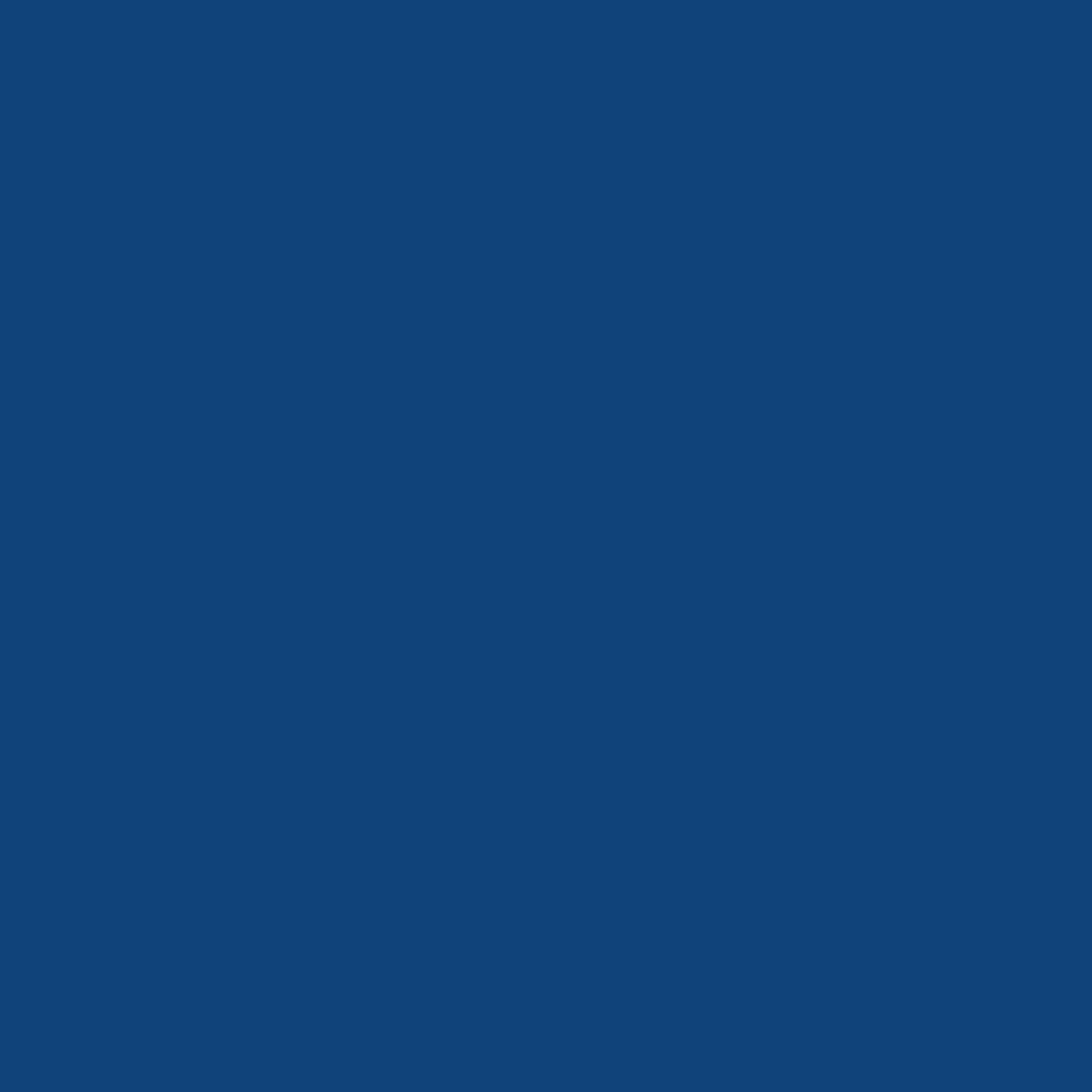 Enzianblau            RAL 5010