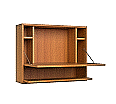 Notebook-Schrank,  60 cm hoch, 75x22 cm (B/T), zur Wandmontage, aus der Kategorie Funktionale Tische