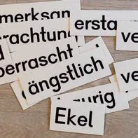 Emotionsbegriffe SET bestehend aus 12 St. Emotionsbegriffen zum Zuordnen aus der Kategorie Textilien