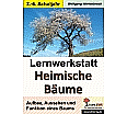 Lernwerkstatt - Heimische Bäume aus der Kategorie Kinderbücher
