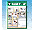 Anleitung zur Ersten Hilfe bei Unfällen, Papier-Plakat 41 x 58 m, nach BGI/G 510-1 aus der Kategorie weitere Produkte