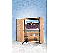 Flat-Screen-Schrank fahrbar, bis 44 Zoll Diagonale, Höhe 184 cm, 132x75 cm (B/T) aus der Kategorie Flat TV Schränke