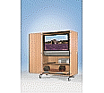 Flat-Screen-Schrank fahrbar, bis 44 Zoll Diagonale, Höhe 184 cm, 132x75 cm (B/T) aus der Kategorie Flat TV Schränke