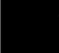 Tiefschwarz  RAL 9005