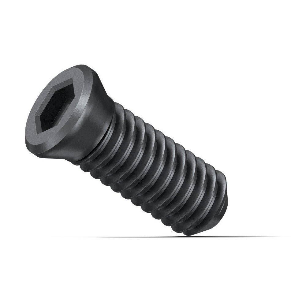 Fein Klemmschraube KX #31350075000